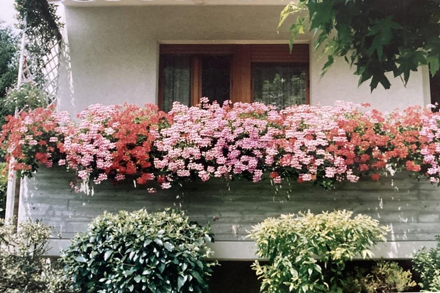 ENASTÅENDE MINNEN FRÅN ITALIEN