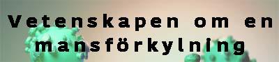 Hur testosteron fungerar