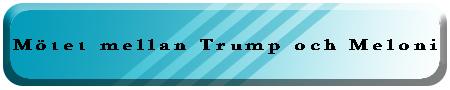 Trumps politiska teaterföreställning