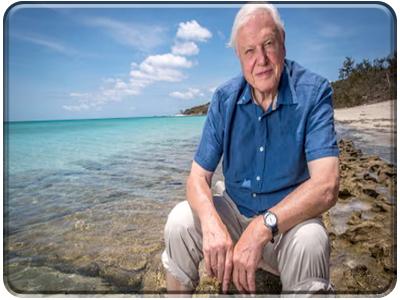 Ikonen David Attenborough
