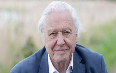 IKONEN DAVID ATTENBOROUGH