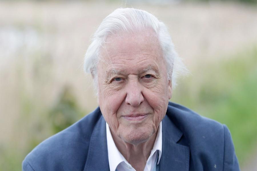 IKONEN DAVID ATTENBOROUGH