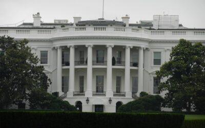 PARTIHISTORIAN I USA