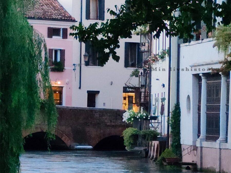 DEN DOLDA PÄRLAN BORTOM VENEDIG