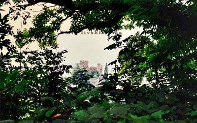 EN OFÖRGLÖMLIG PLATS