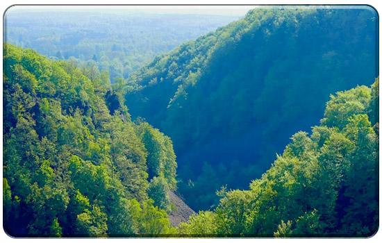  Sveriges dolda naturskatt