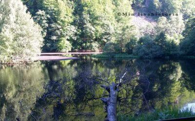 SVERIGES DOLDA NATURSKATT