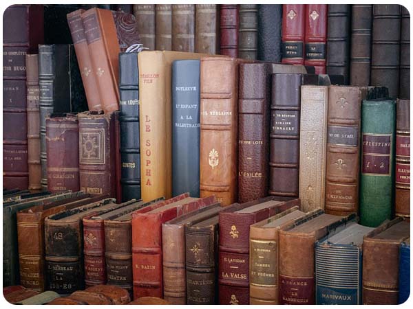 En älskad författare