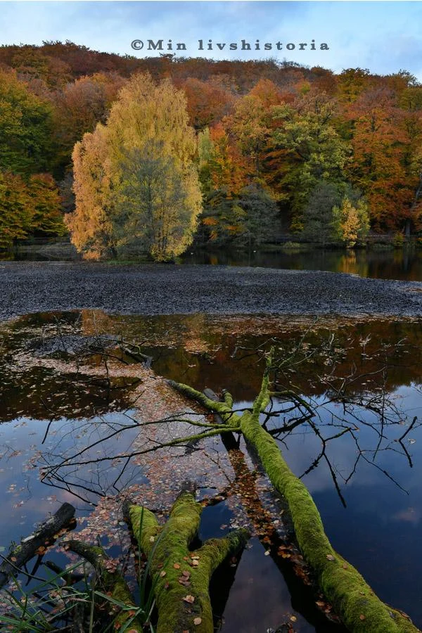 Skäralid